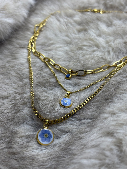 Collana “Me Voy..”