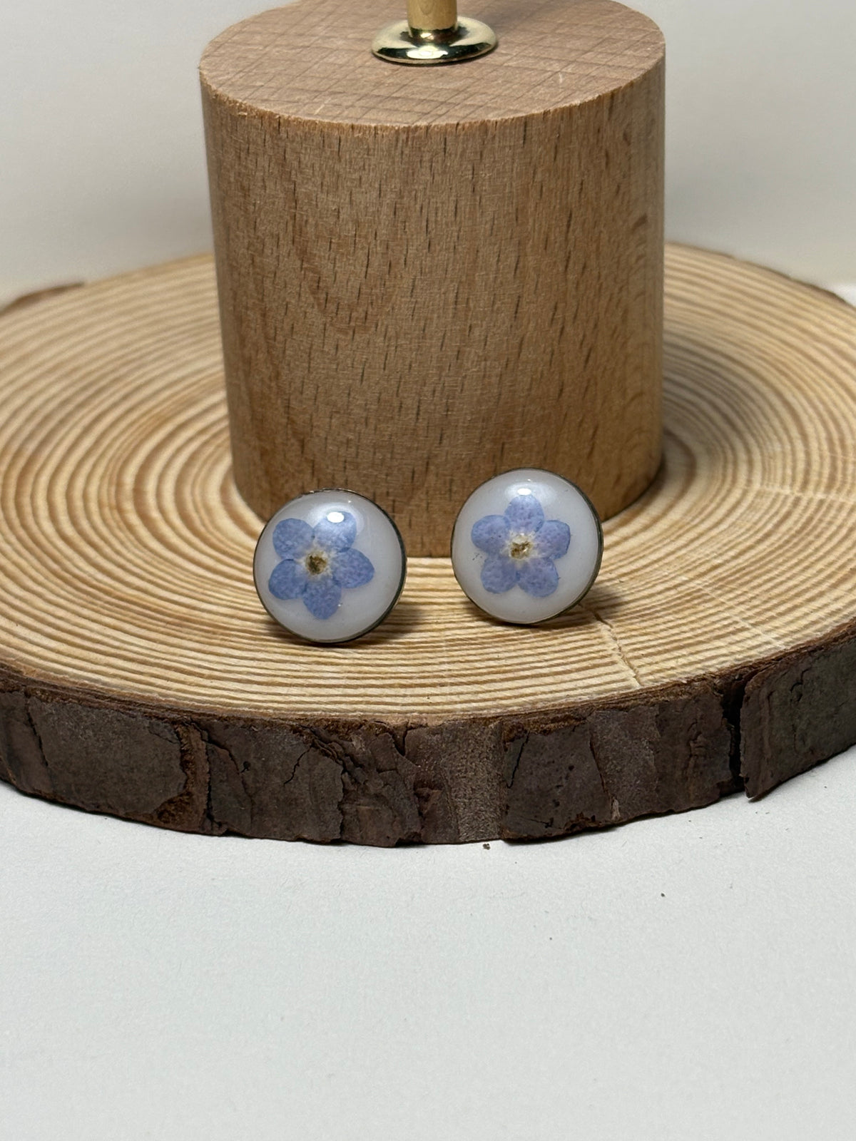 Myosotis
