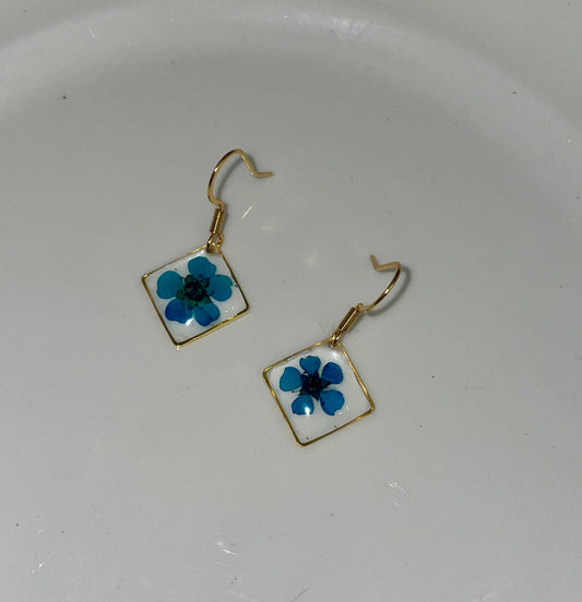 Mini “blue”