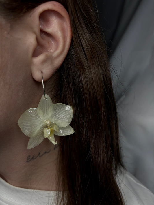 Orecchini Orchidea