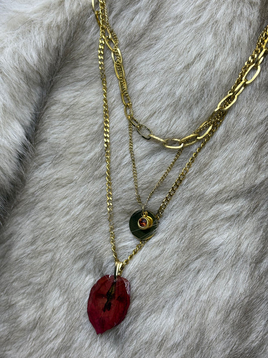 Collana “Me Voy..”